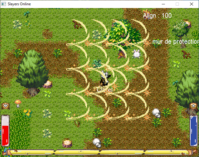 exemple_visuel_magic_zone.png exemple_visuel_magic_zone.png